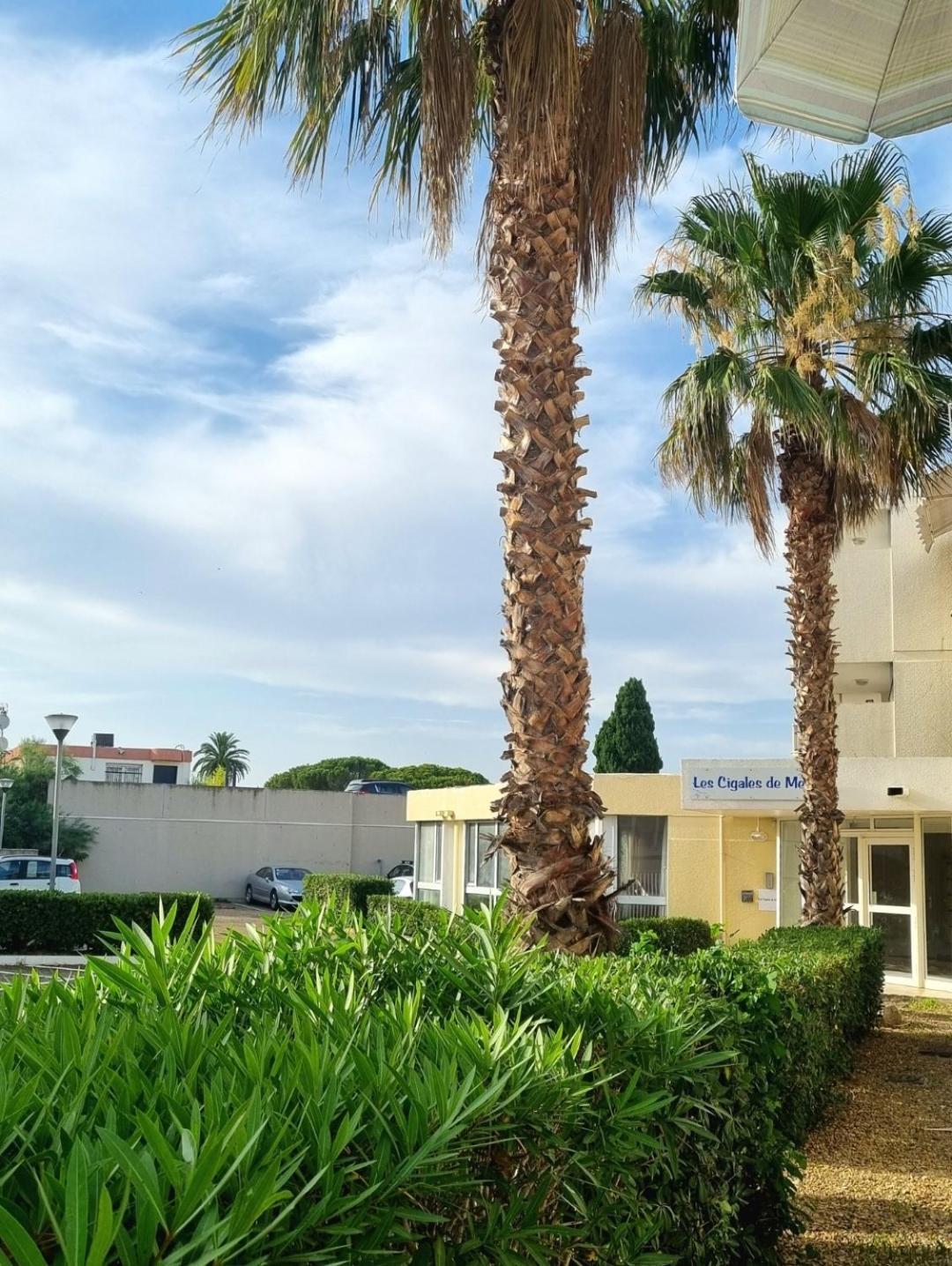 100 M De La Plage - Les Cigales De Mer - Studio Cabine - Parking Le Grau-du-Roi Extérieur photo